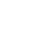 試乗